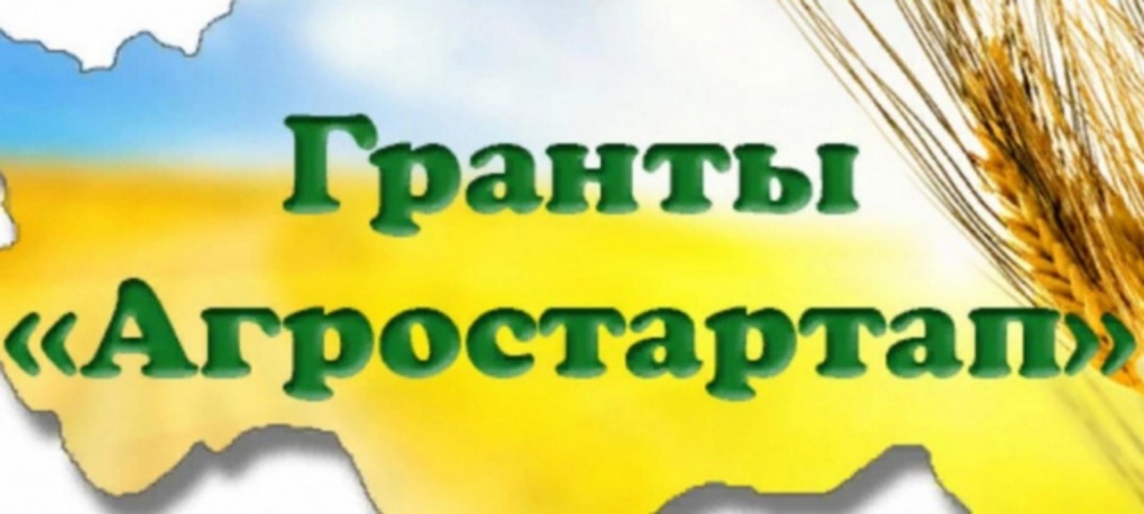 Конкурсный отбор.