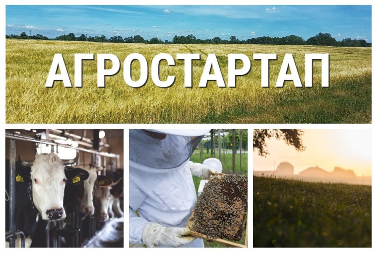 В 2023 году проводится конкурс по отбору граждан и крестьянских (фермерских) хозяйств или индивидуальных предпринимателей для предоставления грантов «Агростартап». В 2023 году проводится конкурс по отбору граждан и крестьянских (фермерских) хозяйств или индивидуальных предпринимателей для предоставления грантов «Агростартап».